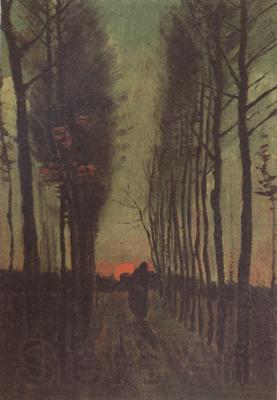 Vincent Van Gogh Avenue of Poplars at Sunset (nn04) Norge oil painting art